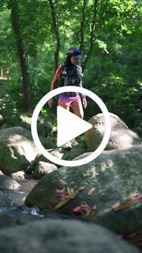 BIB:  <button type="button" onclick="openModal(28052882)" class="btn btn-primary btn-sm float-right" data-toggle="modal" data-target=".modal-high-quality">
                <i class="fa fa-download"></i> Download
                </button>